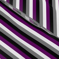 Ace Pride Stripes - 1/2 inch