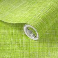 Linen in Fresh Green 