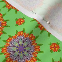 Floral Garden Kaleidoscope Green