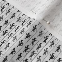 Muybridge Gallop (original)