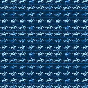 Muybridge Gallop (indigo)