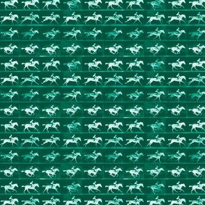 Muybridge Gallop (jade)