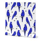 Parrots - Blue/White (Custom) by Andrea Lauren