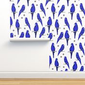 Parrots - Blue/White (Custom) by Andrea Lauren