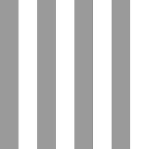 Stripes Gray & White