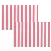 Stripes Pink & White