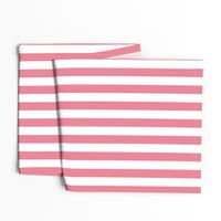 Stripes Pink & White