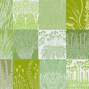 WILD GRASSES IN OLIVE