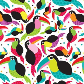 Colorful Brazil Tucan bird illustration