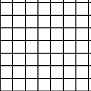 Small Black and White Square Grid