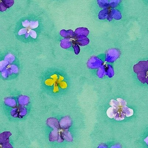 Watercolor violets