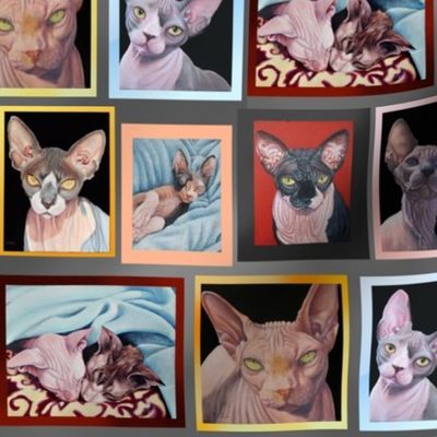 My Sphynx Paintings Collage