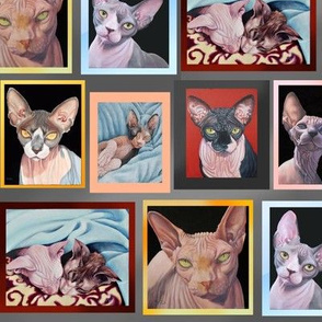 My Sphynx Paintings Collage