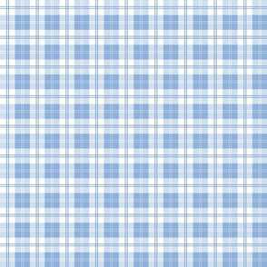 Nantucket Beach Tartan in Blueberry