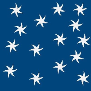 starfish_navy