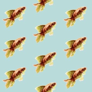 Goldfish on Sky Blue