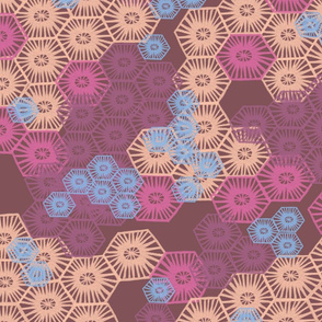 Hexagonal_Coral