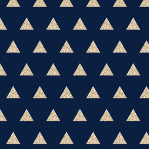 gold sparkle v. I triangles on navy