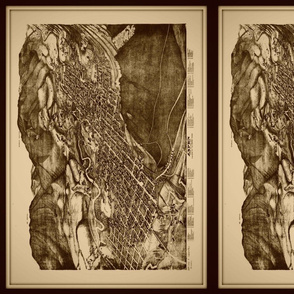 Vintage Aspen CO map, FQ