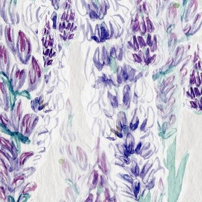 Watercolor Lavender 