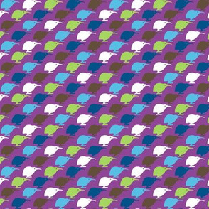 Kiwi Bird - Purple