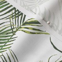 monstera and other tropical leaves