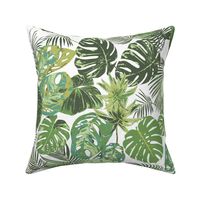 monstera and other tropical leaves