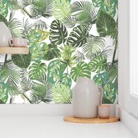 monstera and other tropical leaves