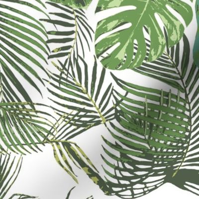 monstera and other tropical leaves