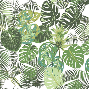 monstera and other tropical leaves