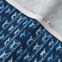 Muybridge Fetch (indigo)