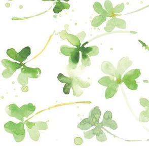 Shamrocks