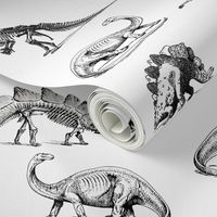 Dinosaur Skeletons, Black and White Dino, Museum Animals (405)