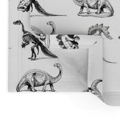 Dinosaur Skeletons, Black and White Dino, Museum Animals (405)