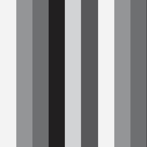 Hedy Stripe in Grayscale | 12" Repeat