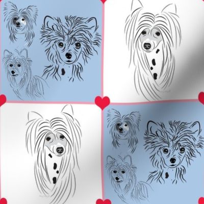 Chinese Crested - Cresty "Love" abt 4" squares