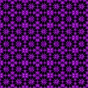 Purple Star Burst