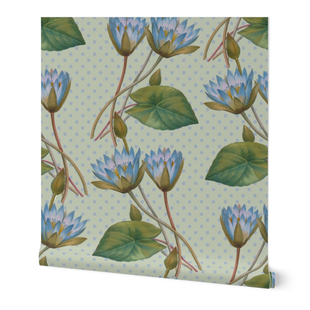 Blue Waterlilies