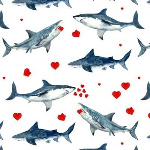 Valentines Sharks  - Love at First Bite