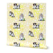 LG Biewer Yorkie Terriers on Yellow