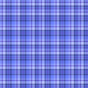 Blue Plaid 