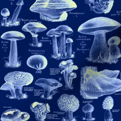 Navy Blue Mushroom Pattern - Vintage Botanical Illustration