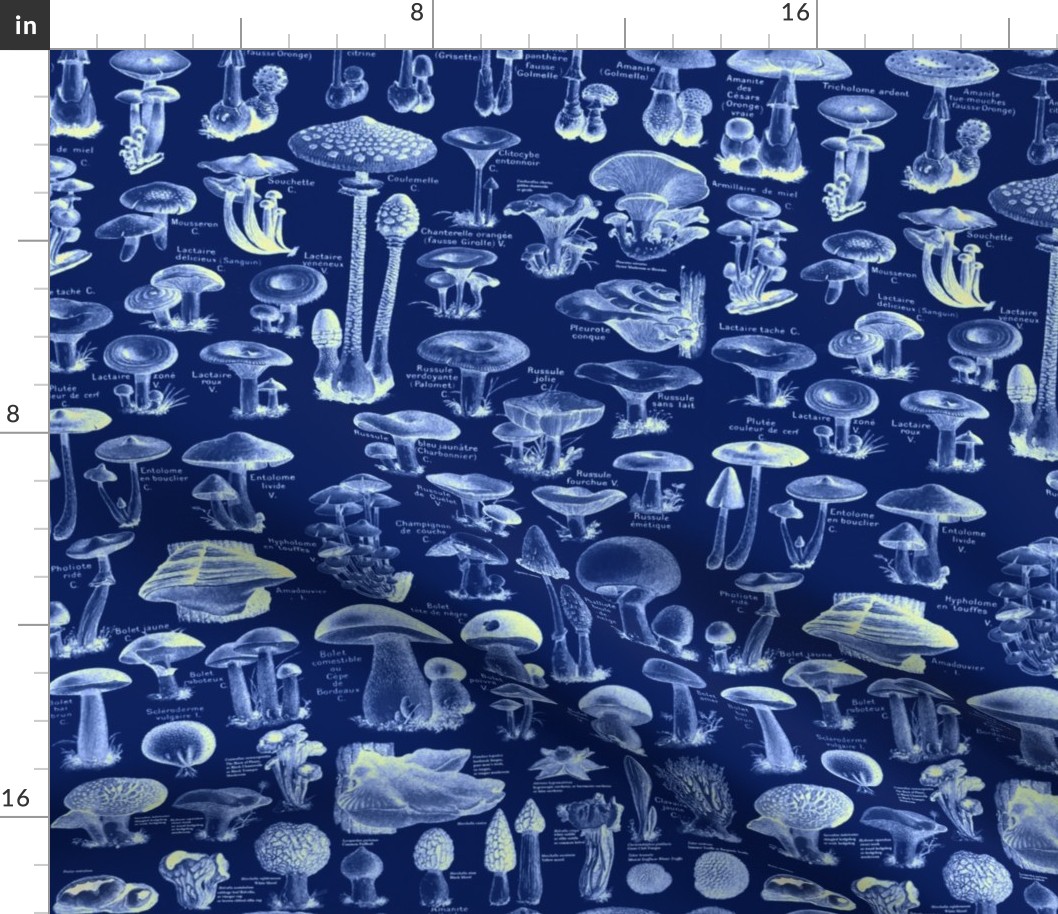 Navy Blue Mushroom Pattern - Vintage Botanical Illustration