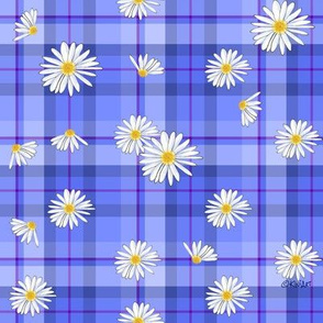 Daisy Plaid Blues