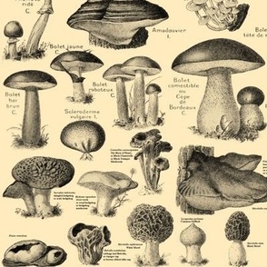Ye Olde Mushroom Pattern - Beige Tan Vintage Mushrooms