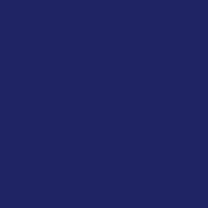 solid deep indigo blue (1E2464)
