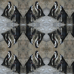 Penguins