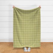 Green and gold gingham.