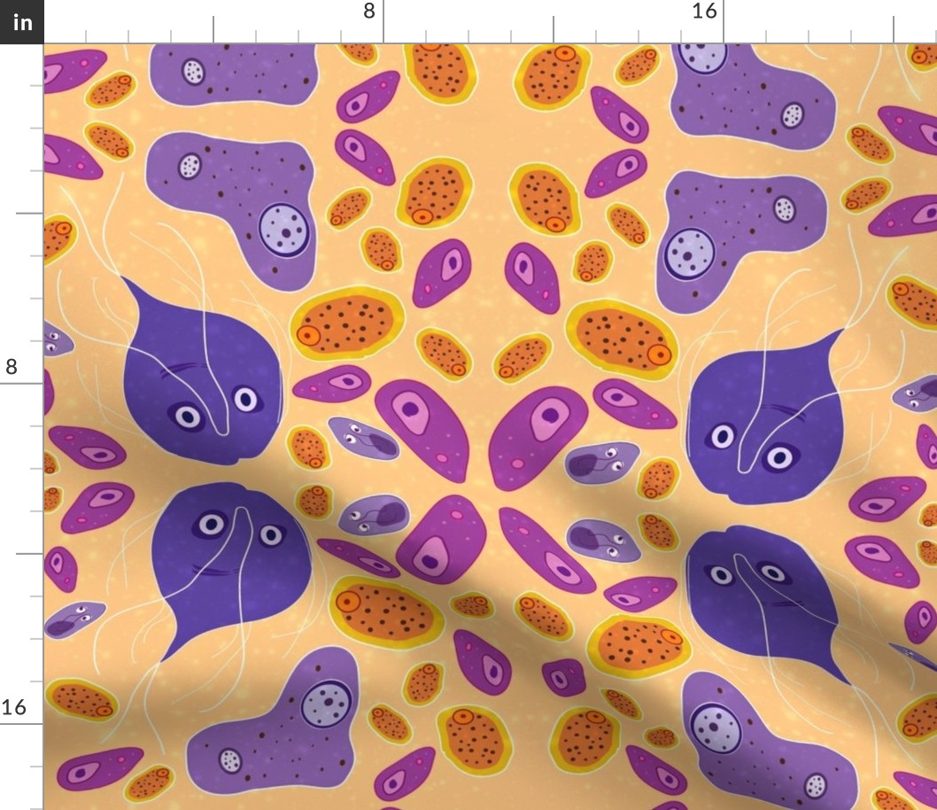 Staining for Trophozoites / Mirror