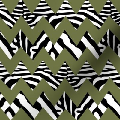 zebra_chevron_on_military_green